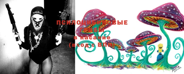 прущий лед Вязники