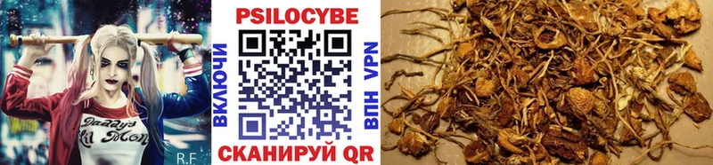 hydra зеркало  Ачинск  Галлюциногенные грибы GOLDEN TEACHER 